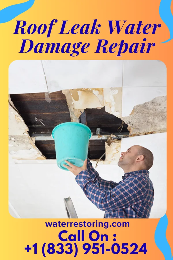 Roof Leak Water Damage Repair in Bainbridge Island, WA